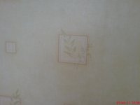 DSC00017.JPG