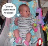 лошадь.jpg