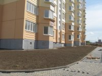 посадили травку за  6 домом.jpg