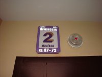 DSC08288.JPG