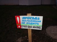 DSC08290.JPG
