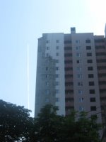 IMG_6459.jpg