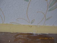 IMG_1430.JPG