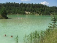 Копия дик1.jpg