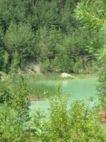 Копия дик2.jpg