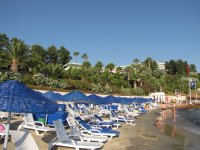 IMG_1502.JPG