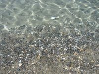 IMG_2110.JPG