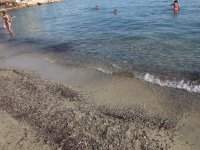 IMG_2762.JPG