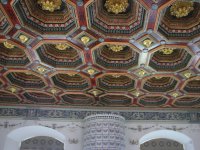 IMG_0259_новый размер.JPG