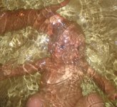 Копия IMG_0065.jpg