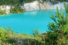 P1210280 (800 x 532).jpg