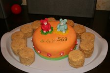 IMG_3705_новый размер.JPG