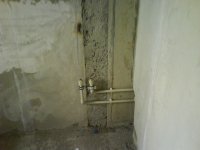 DSC01430.JPG