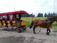 stankovo_dilizhans01.jpg