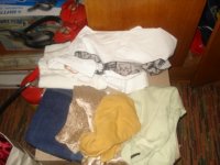 DSC04017.JPG