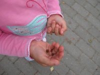 IMG_3619.JPG