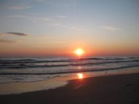 IMG_3792.JPG