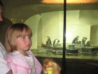 IMG_3928.JPG