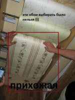 IMG_5344.JPG