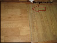 IMG_5355.JPG