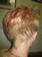 IMG_1911nov.jpg