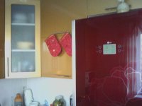 IMG0256.jpg
