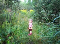DSCN26761.jpg