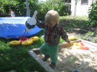 IMG_0560.jpg