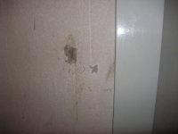 DSCF1161.jpg