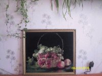 t__008_906.jpg