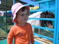 IMG_6278 (Medium).JPG