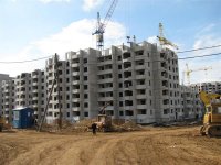 IMG_0228 (Medium).jpg