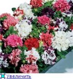 double glorious mix.jpg