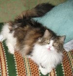 IMG_0272.jpg
