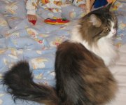 IMG_1213.jpg