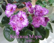 Изображение 020.jpg