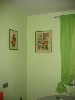 gallery_16_125_16001.jpg