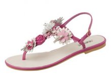 2464437 49.99 36.jpg