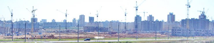 IMGP1658_.jpg
