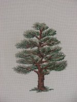 tree.jpg