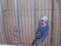 IMG_1720.jpg