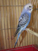IMG_1721.jpg