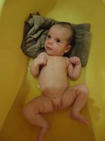 DSC004531.jpg