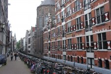 DSC00538.JPG