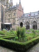 IMG_0063.jpg