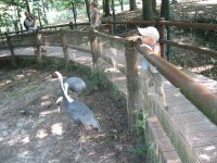 IMG_0919_resize.JPG