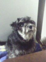 IMG0106A.jpg