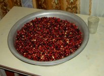 Клюква.JPG