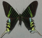 IMG_1293small.jpg
