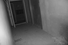 IMG_5538.JPG